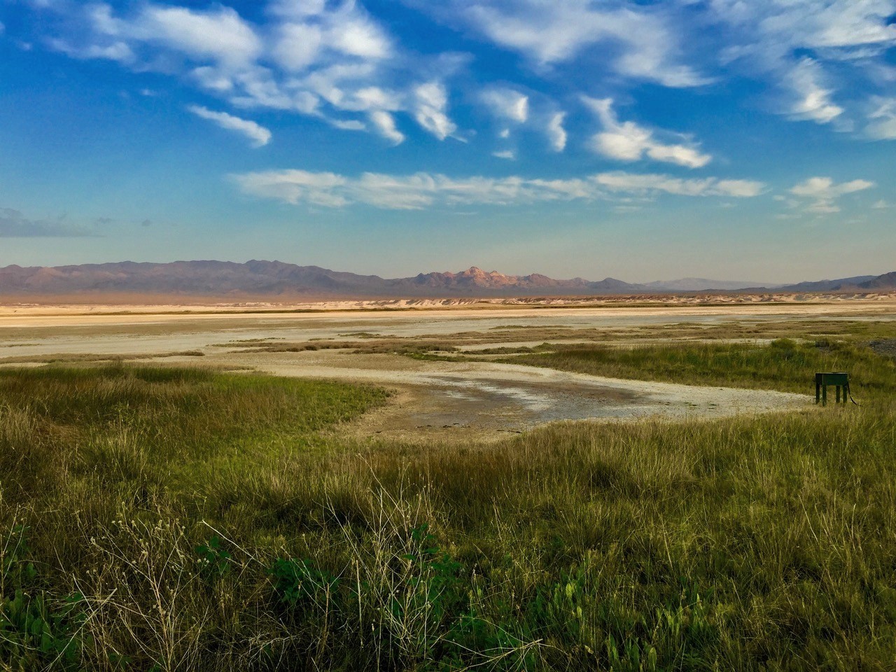 Tecopa Marsh