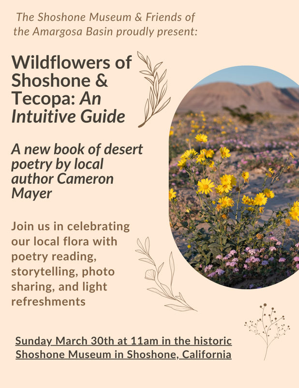 New Book of desert poetry