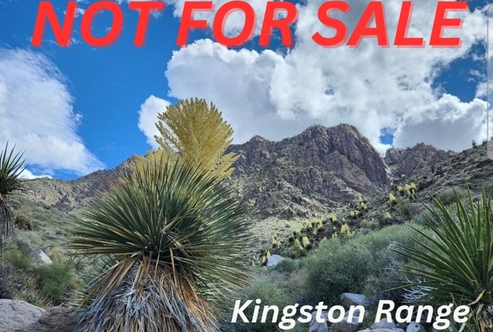 The Threat of Selling off Public Lands in the Amargosa Basin