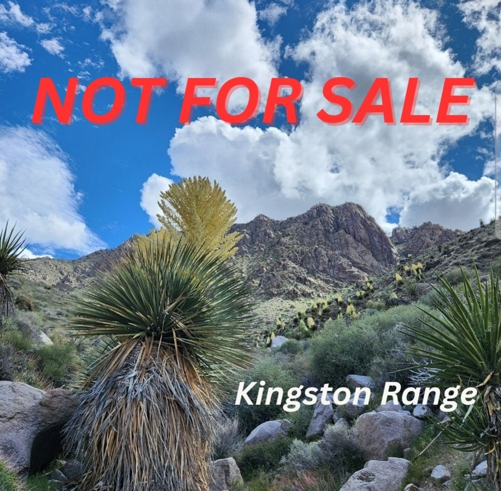 Not for Sale Not for Sale