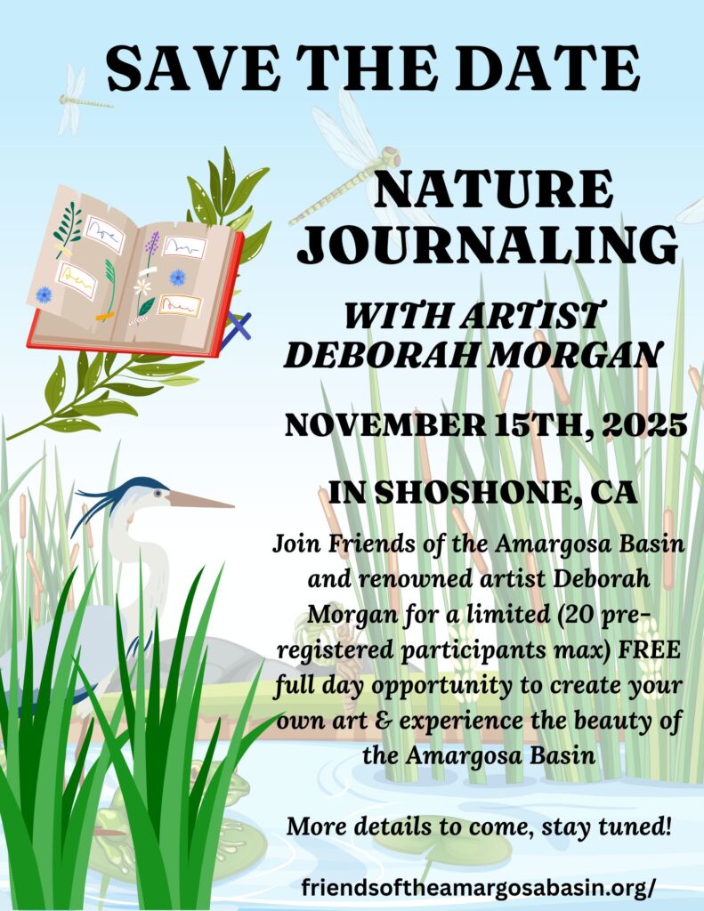 Nature Journaling