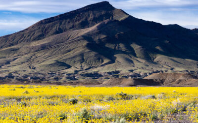 Friends of the Amargosa Basin expresses disapproval over the proposed reversal of the Public Lands Rule
