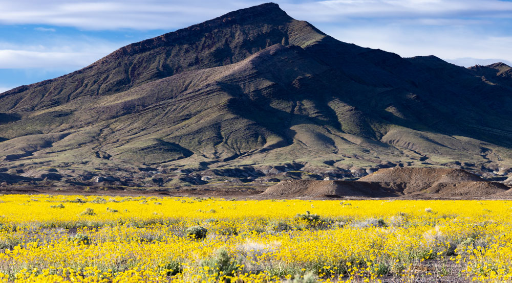 Friends of the Amargosa Basin expresses disapproval over the proposed reversal of the Public Lands Rule