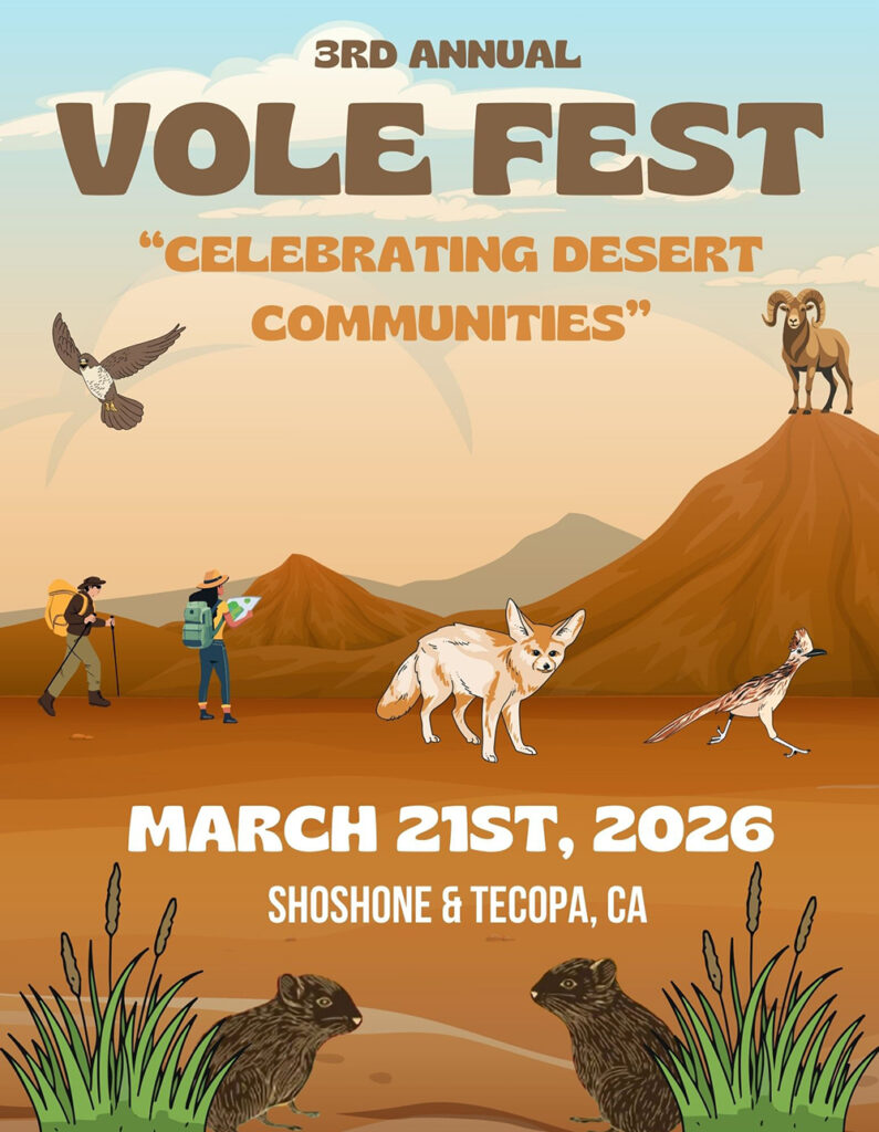 Vole Fest 3 March 21 2026