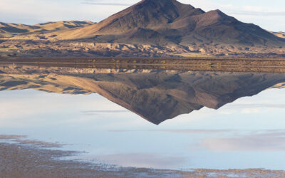 Supporter Updates on the Amargosa Basin National Monument Proposal